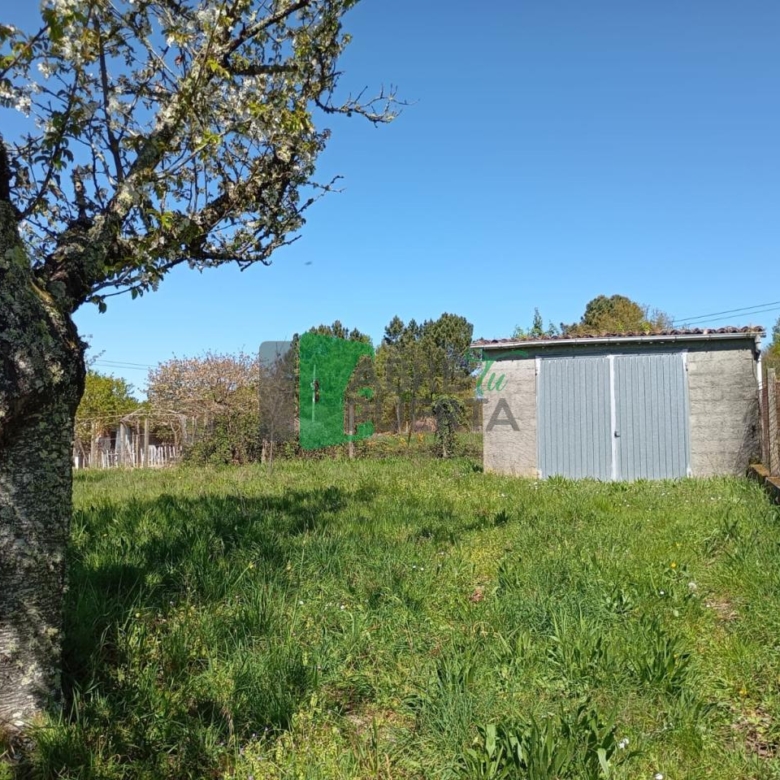 FINCA URBANIZABLE AMOEIRO