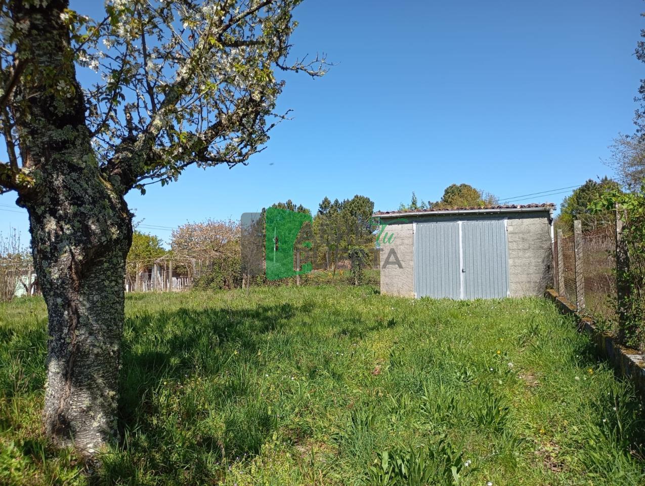 177497607432500010739_177497574358 FINCA URBANIZABLE AMOEIRO
