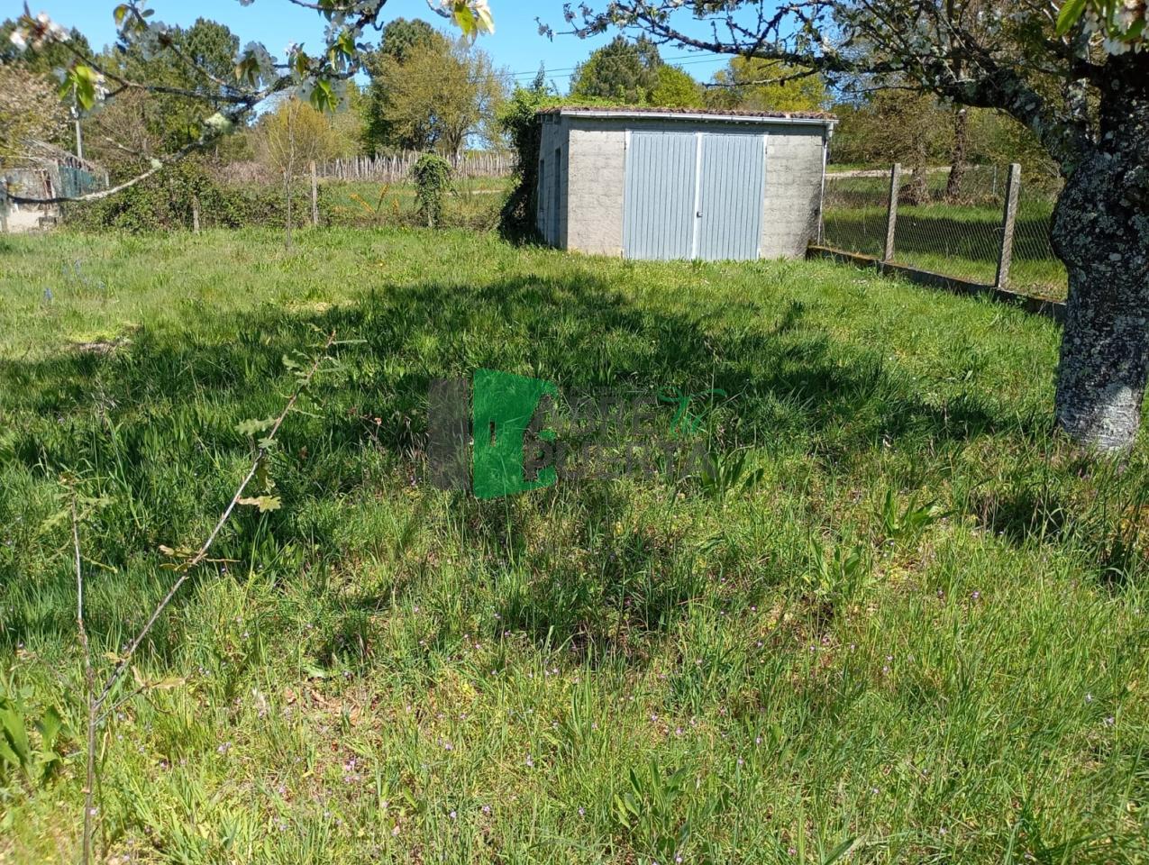 177497607461200010739_177497574240 FINCA URBANIZABLE AMOEIRO