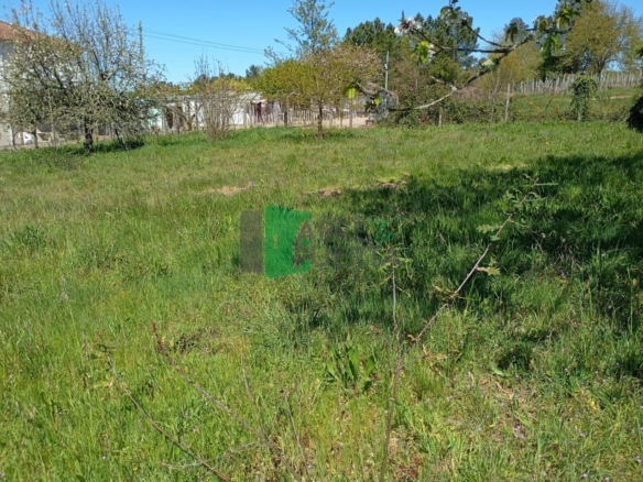 FINCA URBANIZABLE AMOEIRO