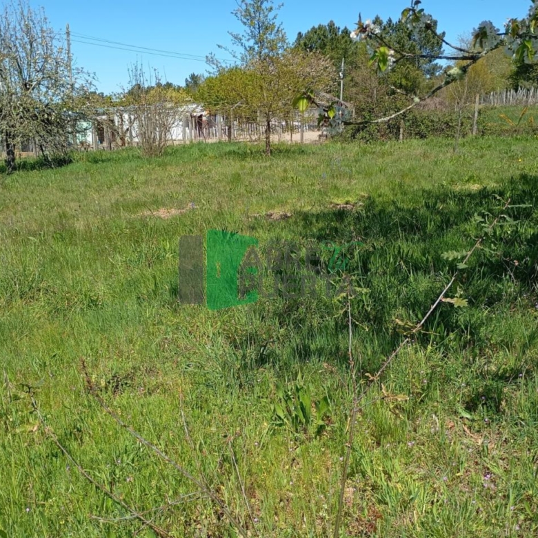FINCA URBANIZABLE AMOEIRO