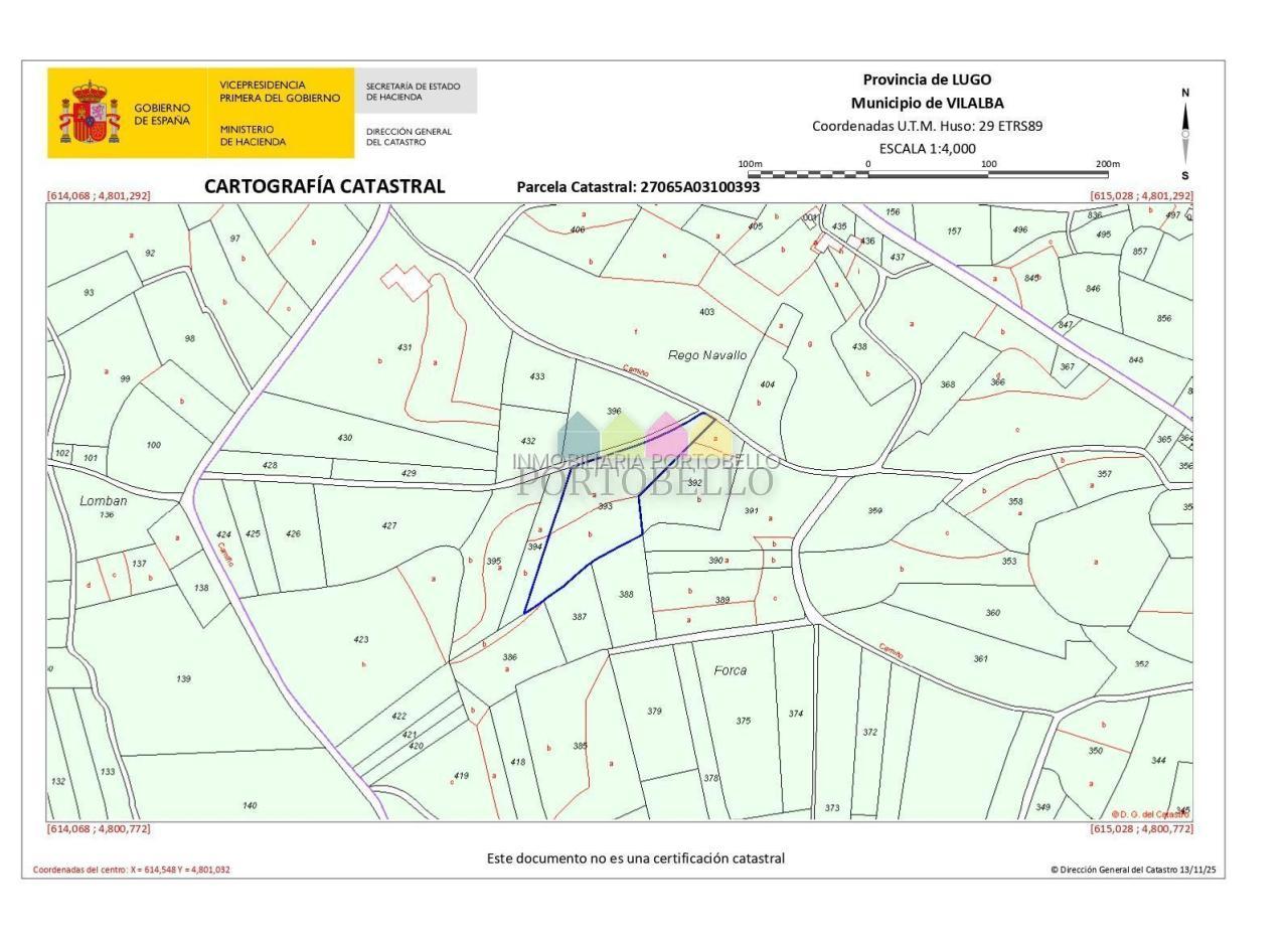 177564127964900044345_177209559352 Oportunidad en Vilalba – Finca rústica con aprovechamiento forestal