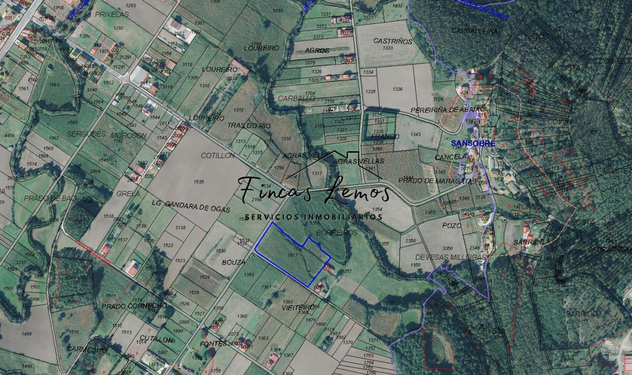 Parcela rústica de 9.748 m² en Vimianzo – naturaleza, amplitud y múltiples posibilidades