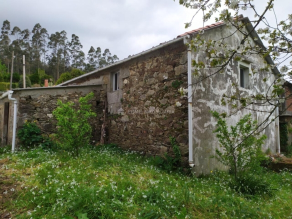 CASA CON FINCA