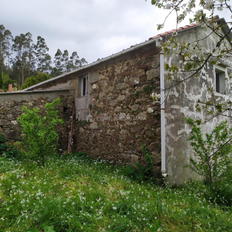 CASA CON FINCA