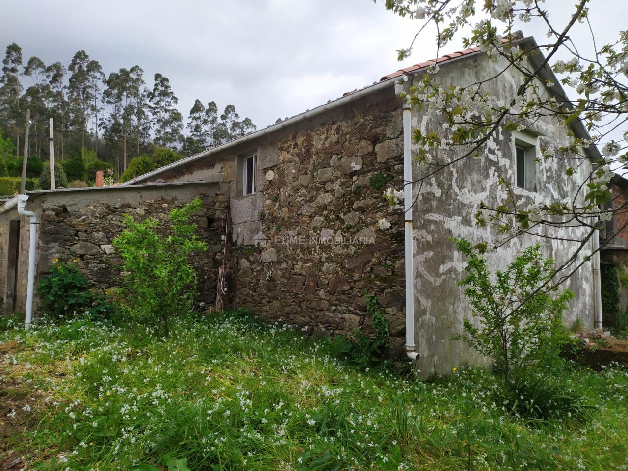 177668122694500044543_177563452372 CASA CON FINCA