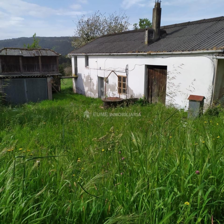 CASA CON FINCA