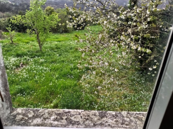 CASA CON FINCA