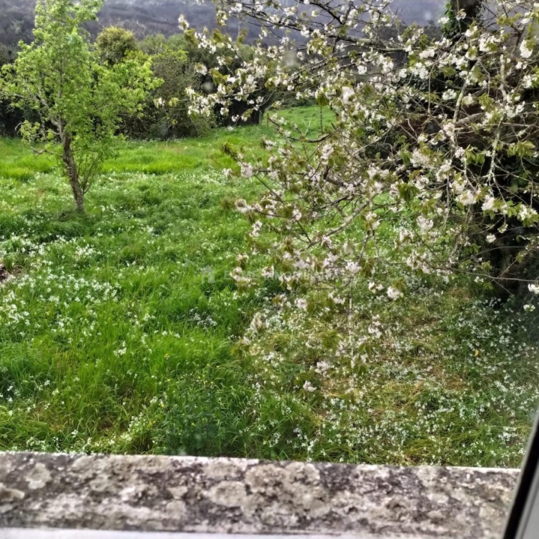 CASA CON FINCA