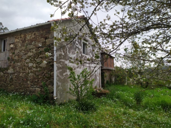CASA CON FINCA
