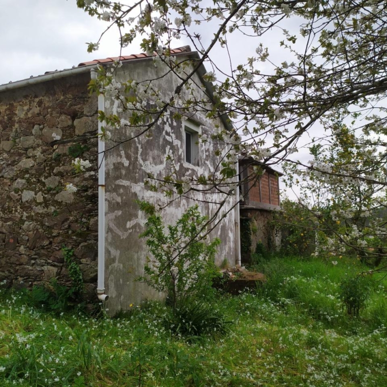 CASA CON FINCA