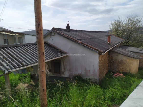 CASA CON FINCA