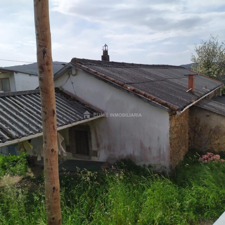 CASA CON FINCA