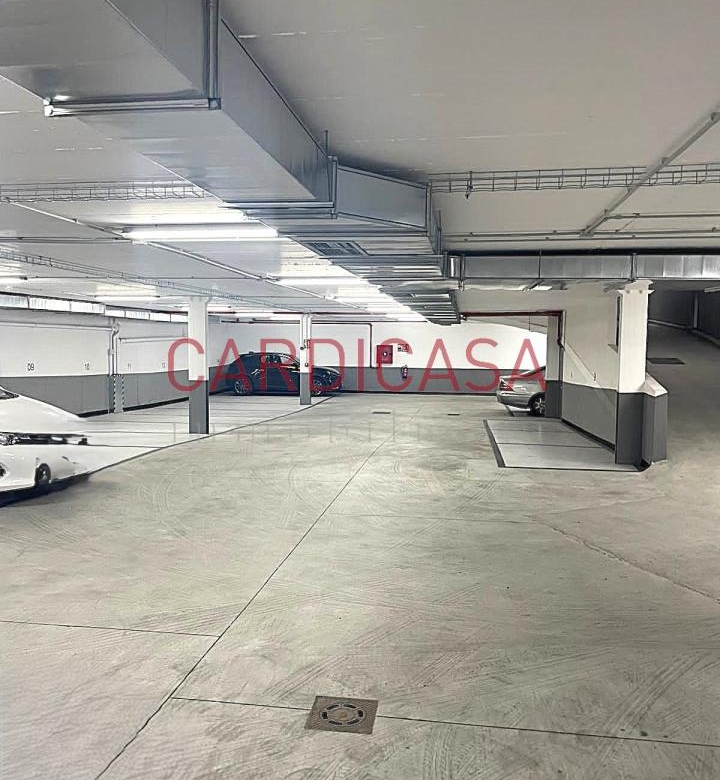 Plaza para coche pequeño tipo (Smart).