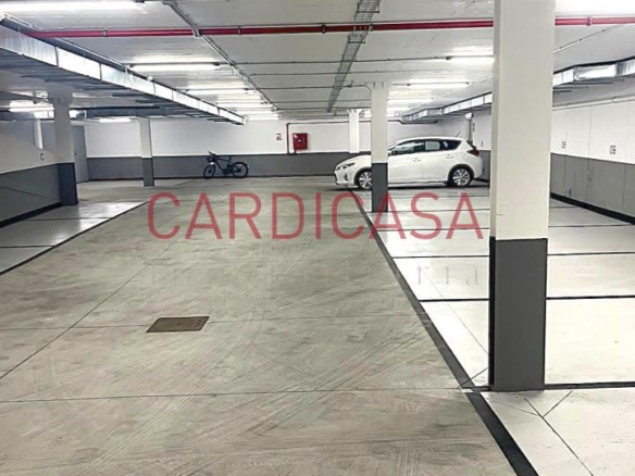 Plaza para coche pequeño tipo (Smart).