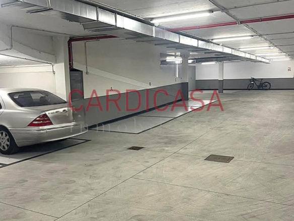 Plaza para coche pequeño tipo (Smart).