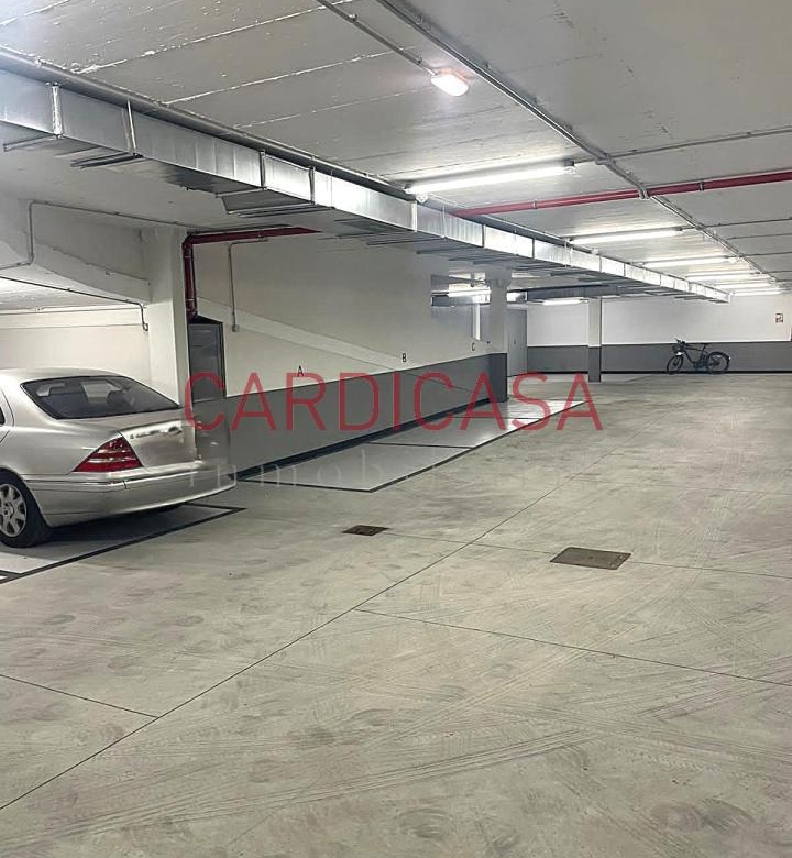 Plaza para coche pequeño tipo (Smart).