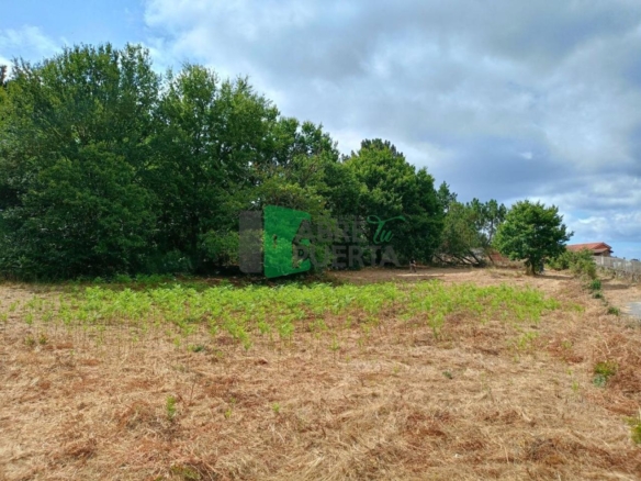 FINCA EN CIMA DE VILA