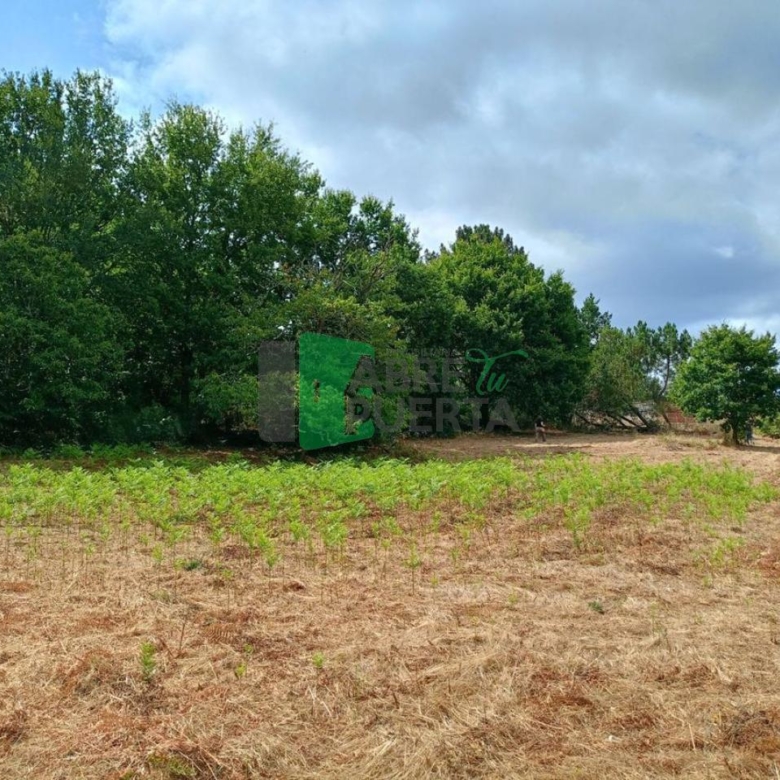 FINCA EN CIMA DE VILA