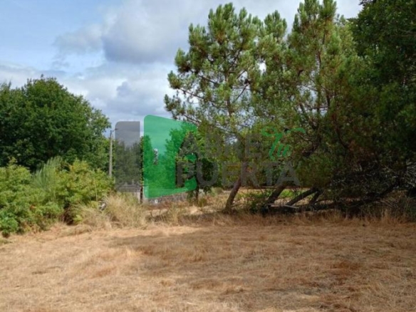 FINCA EN CIMA DE VILA