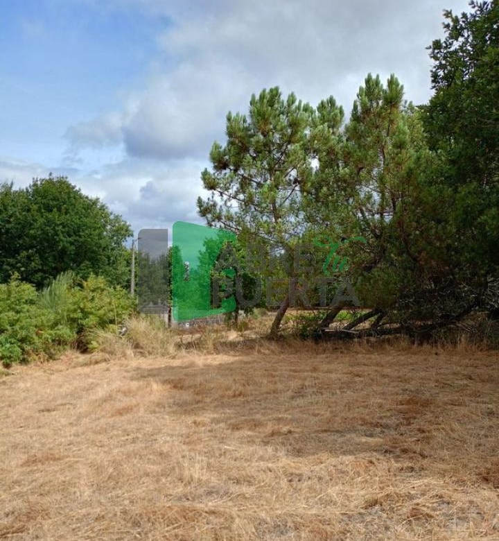 FINCA EN CIMA DE VILA