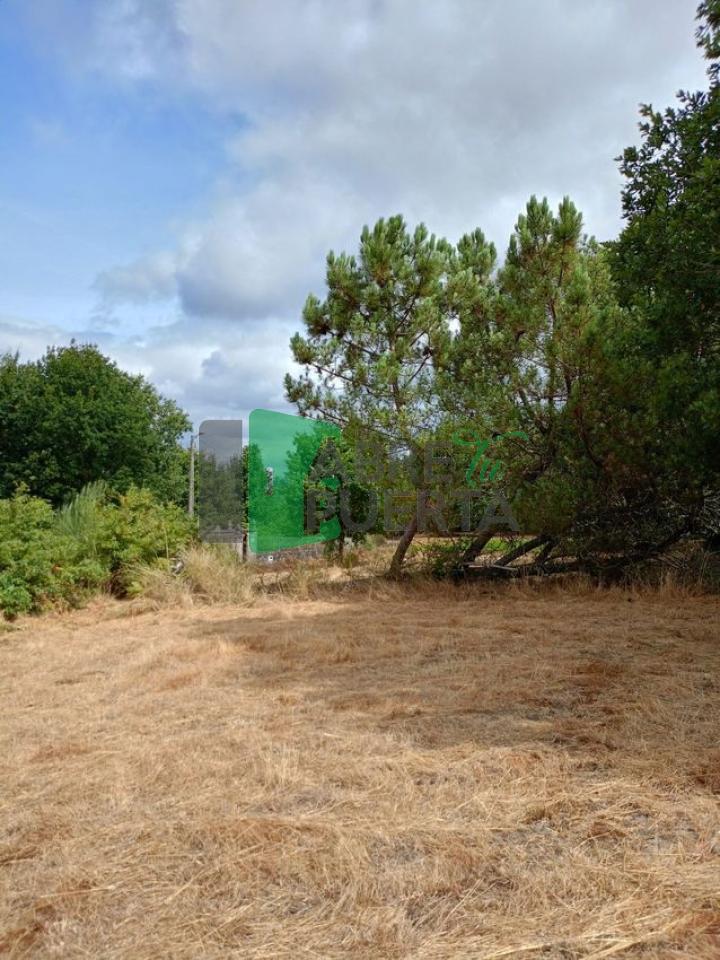 177815386244400010878_177799883553 FINCA EN CIMA DE VILA