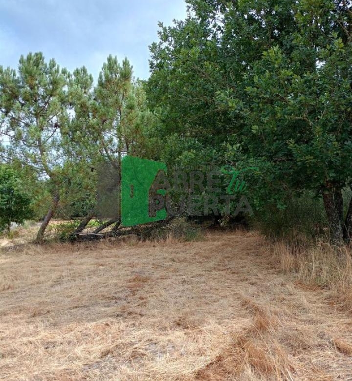 FINCA EN CIMA DE VILA