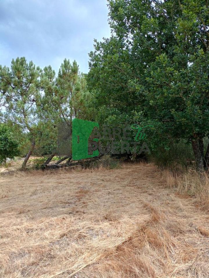 177815386301100010878_177799883626 FINCA EN CIMA DE VILA