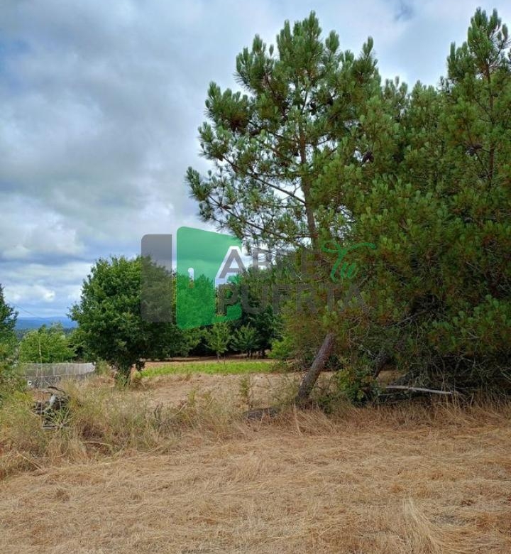 FINCA EN CIMA DE VILA