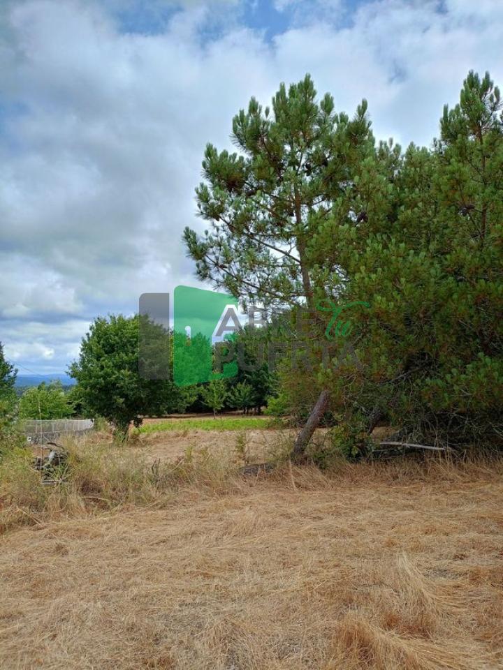 177815386390100010878_177799883656 FINCA EN CIMA DE VILA