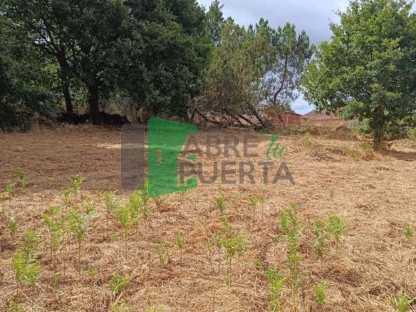 FINCA EN CIMA DE VILA