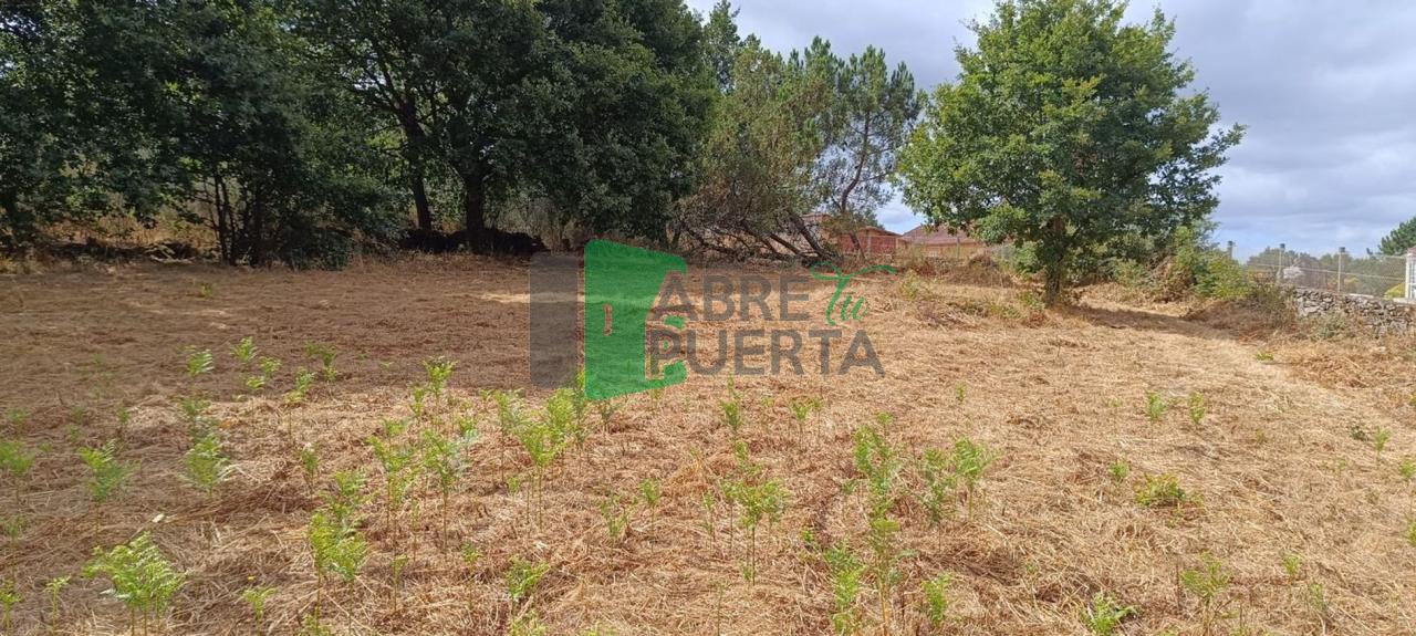 177815386439000010878_177799883733 FINCA EN CIMA DE VILA