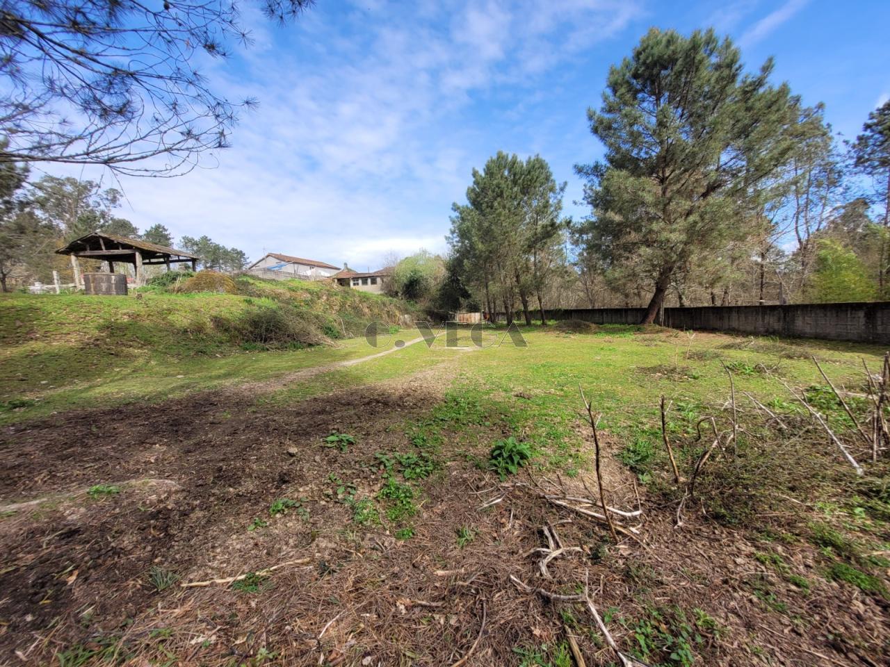 177877499838700010892_177877488876 Solar de 5000m2 edificable en Salvaterra.