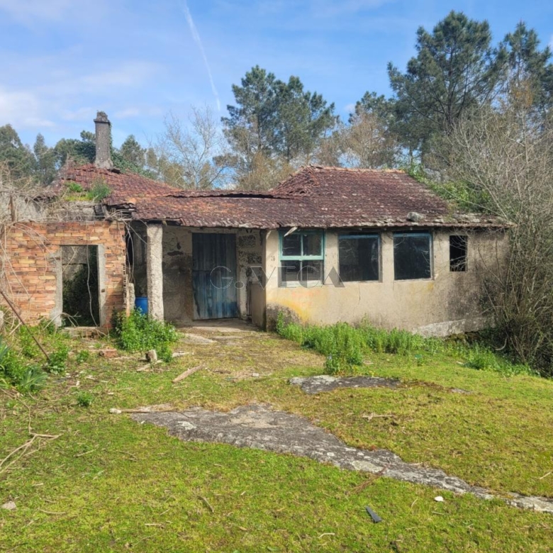 Solar de 5000m2 edificable en Salvaterra.