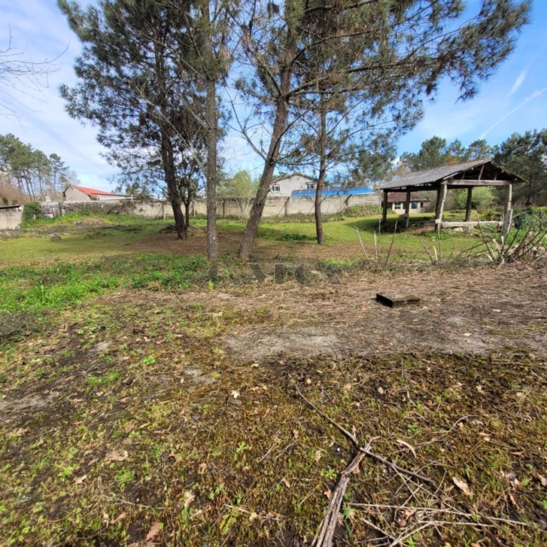 Solar de 5000m2 edificable en Salvaterra.
