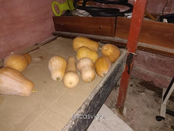 Casa con 3 viviendas en Redondela. Con entradas independientes.