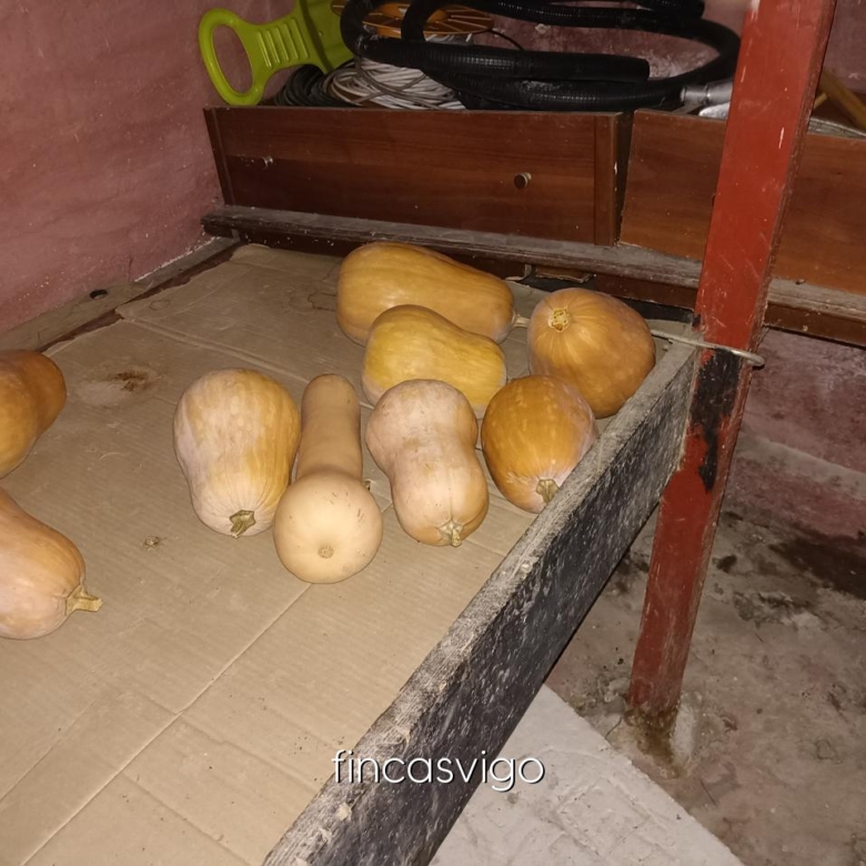 Casa con 3 viviendas en Redondela. Con entradas independientes.