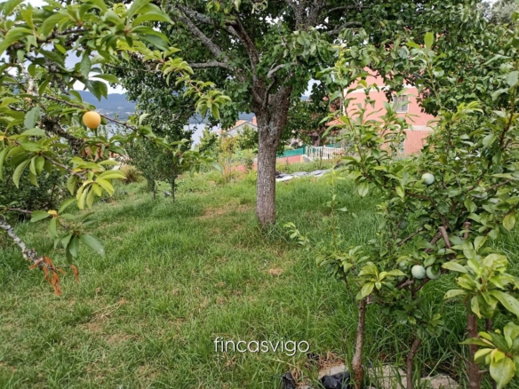 Casa con 3 viviendas en Redondela. Con entradas independientes.