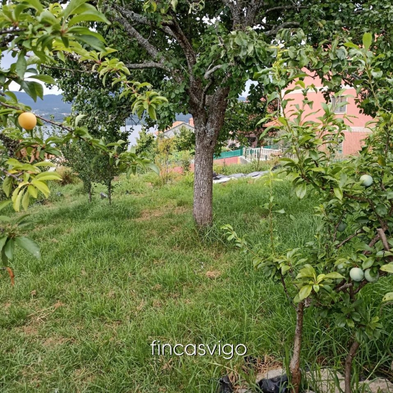 Casa con 3 viviendas en Redondela. Con entradas independientes.