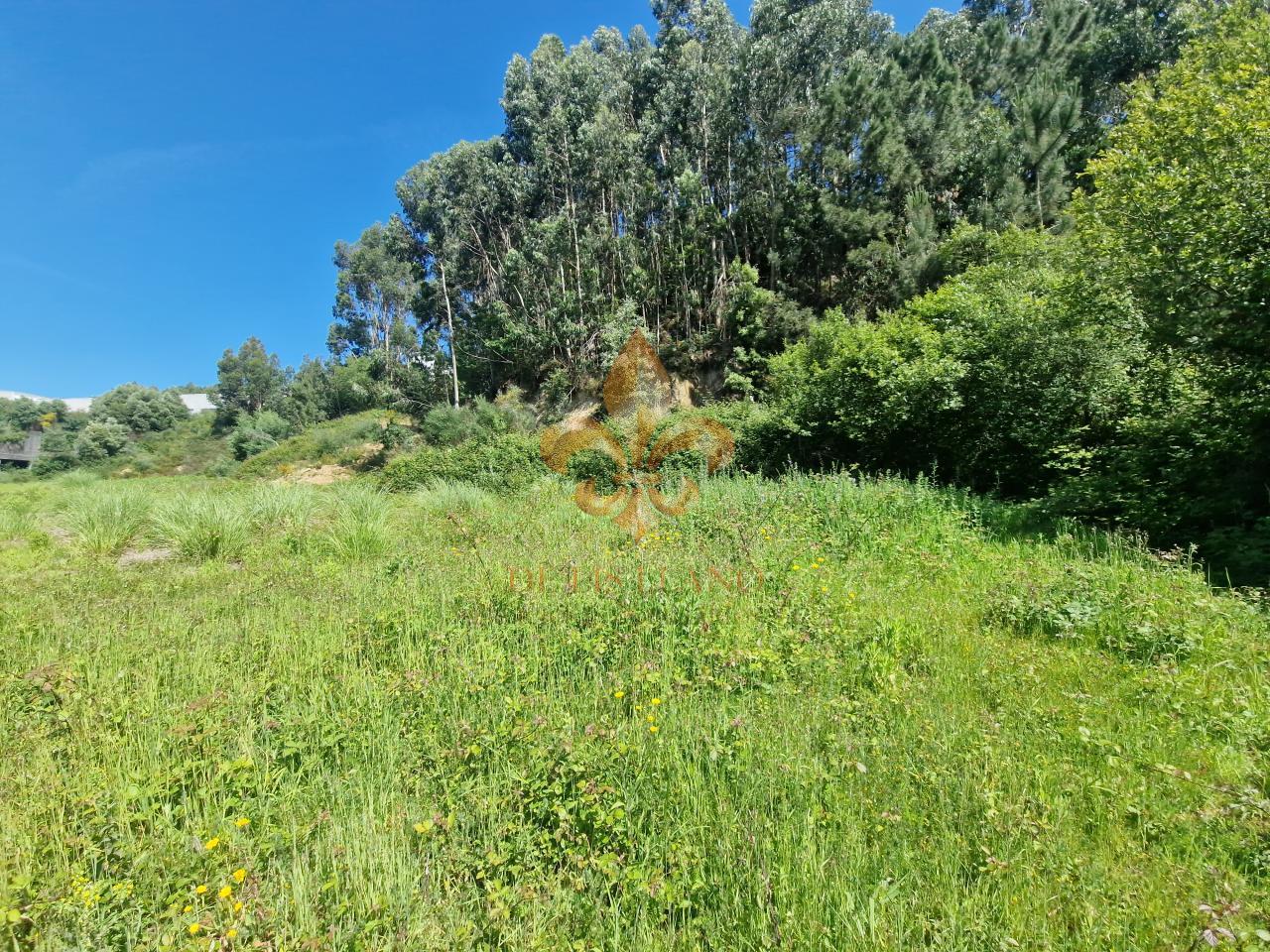 177972796321600010935_177972548891 Venta de suelo urbanizable en Avenida de Madrid – Vigo
