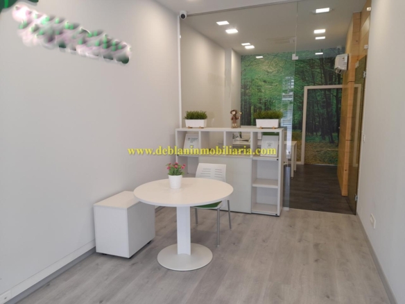 LOCAL COMERCIAL DE 35 M2, EN EL PASEO DE LA CORREDERA