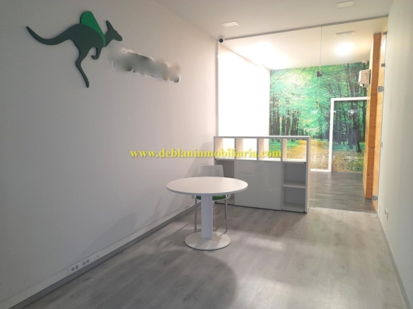 LOCAL COMERCIAL DE 35 M2, EN EL PASEO DE LA CORREDERA