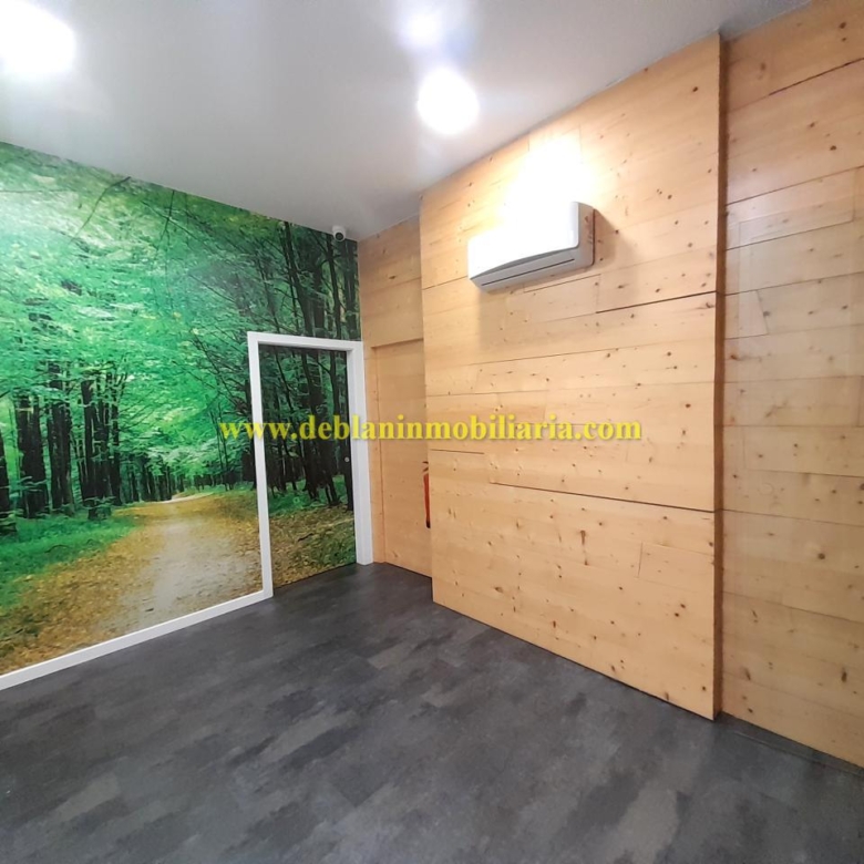 LOCAL COMERCIAL DE 35 M2, EN EL PASEO DE LA CORREDERA