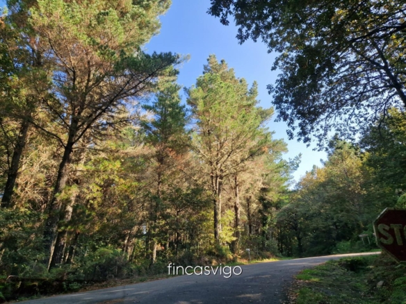 Preciosa casa de piedra en Gomesende (Ourense)