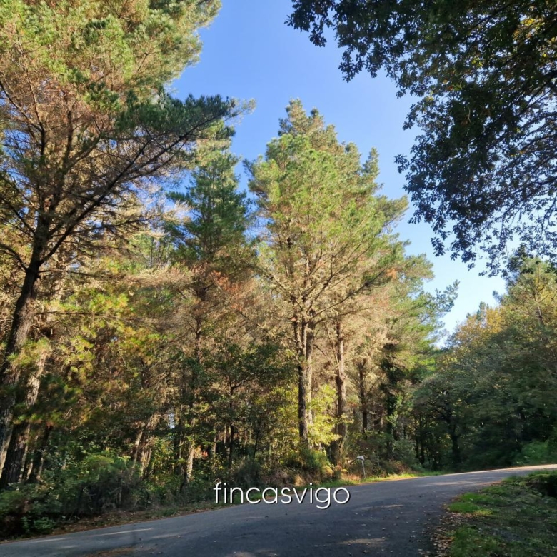 Preciosa casa de piedra en Gomesende (Ourense)