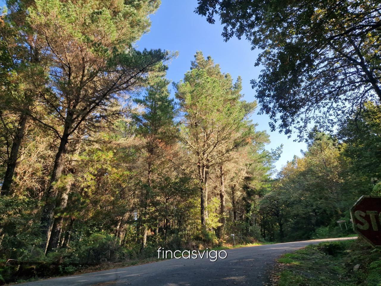 Preciosa casa de piedra en Gomesende (Ourense)