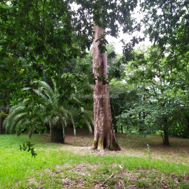 CASA DE PIEDRA PARA REHABILITAR-EXCELENTE FINCA