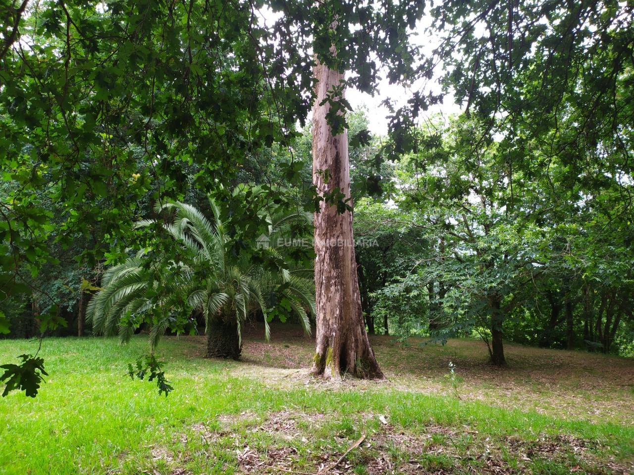178178169827900045151_178177973628 CASA DE PIEDRA PARA REHABILITAR-EXCELENTE FINCA