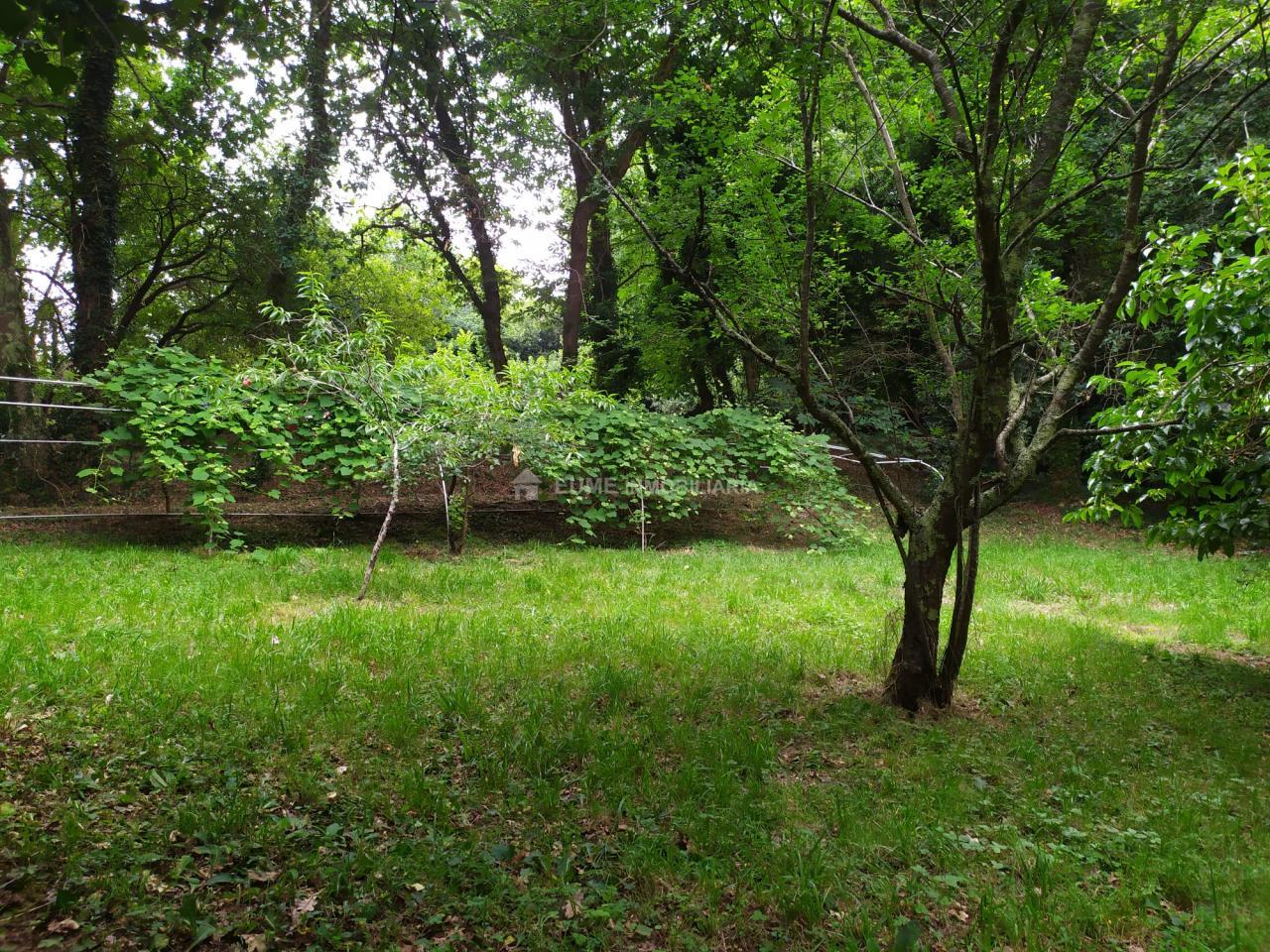 178178170039000045151_178177974227 CASA DE PIEDRA PARA REHABILITAR-EXCELENTE FINCA