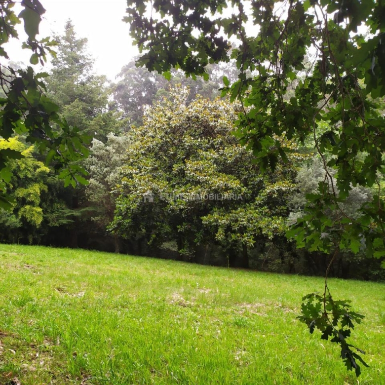 CASA DE PIEDRA PARA REHABILITAR-EXCELENTE FINCA